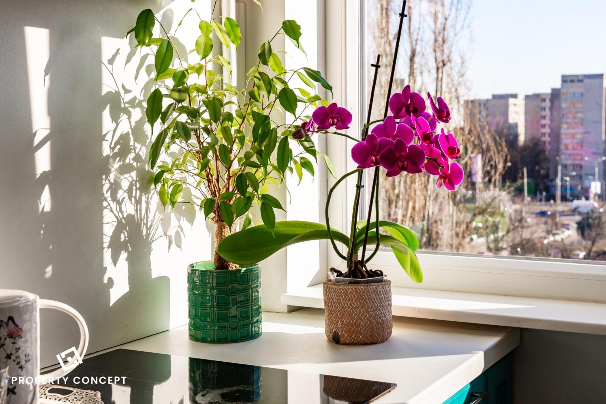 Blissful Retreat Apartment 부쿠레슈티 외부 사진
