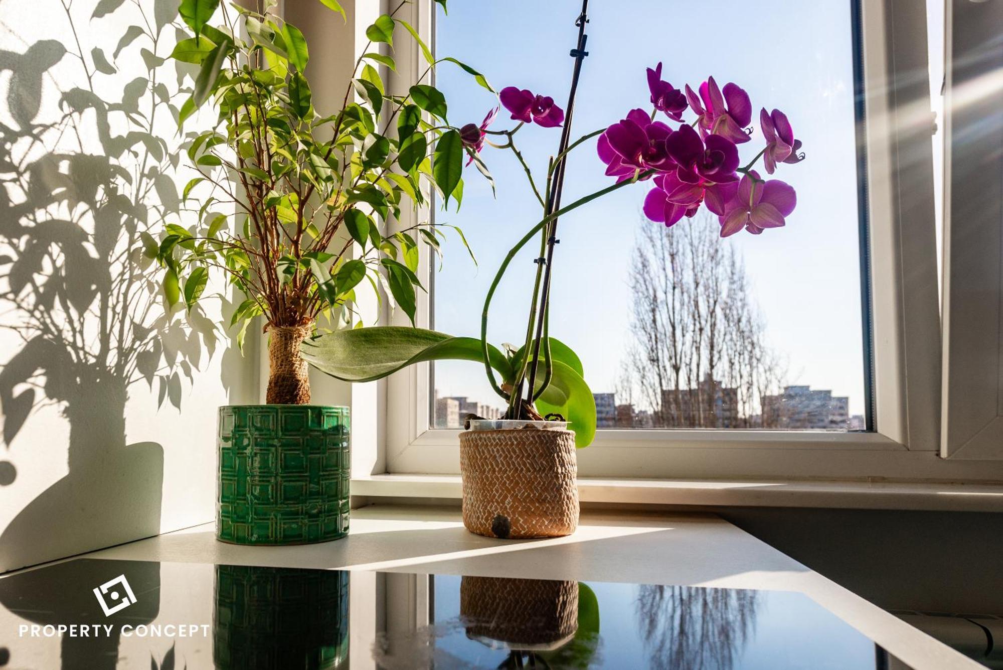 Blissful Retreat Apartment 부쿠레슈티 외부 사진