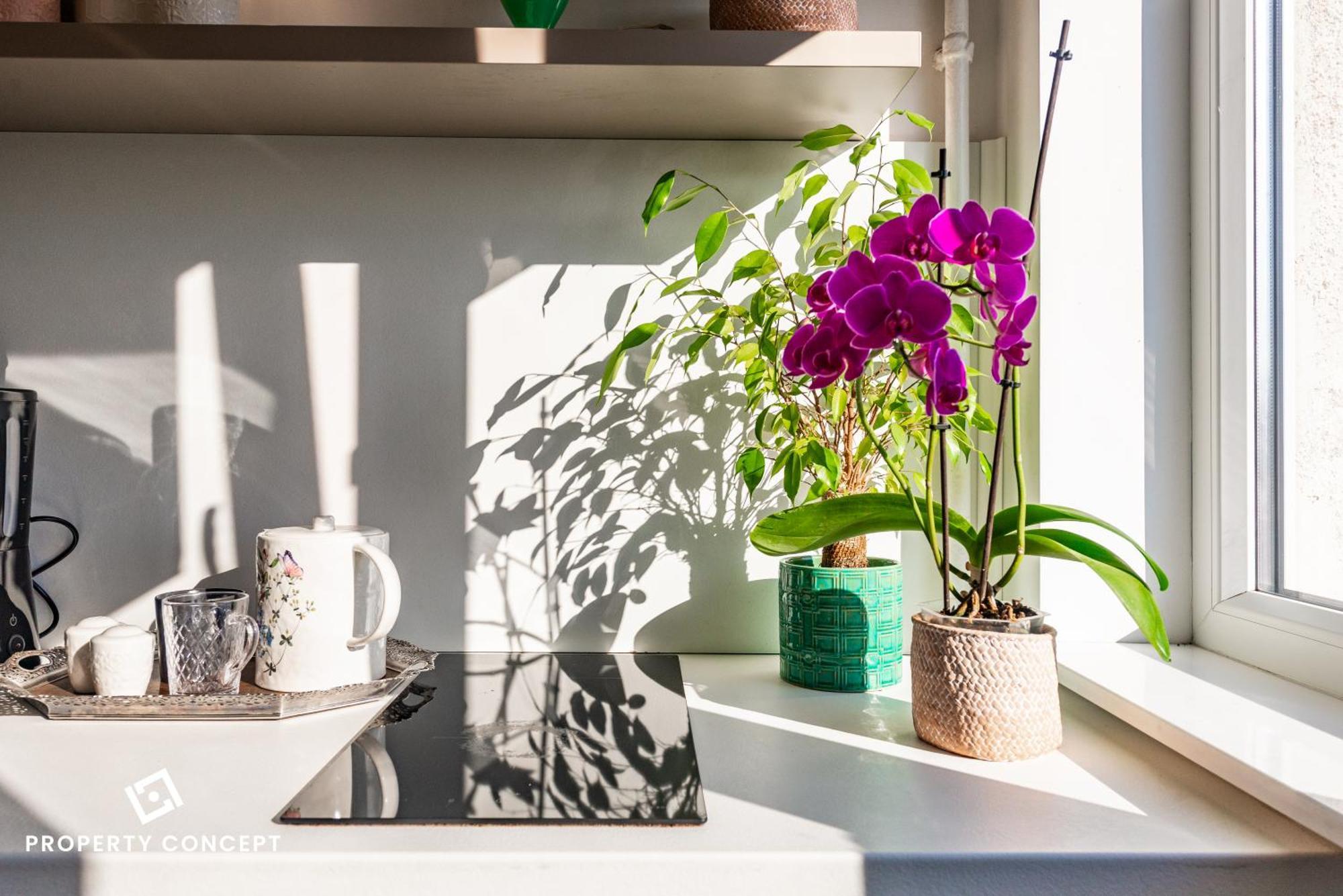 Blissful Retreat Apartment 부쿠레슈티 외부 사진